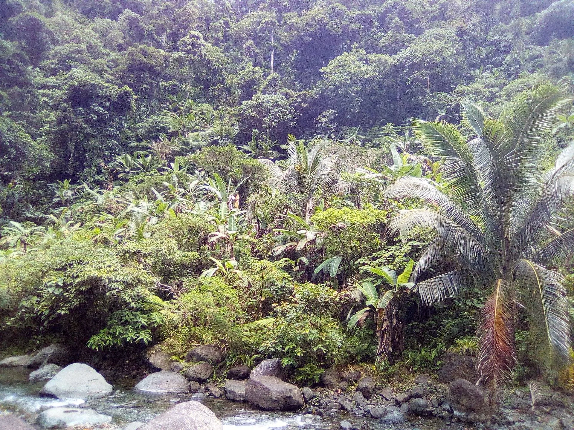 scenery  (Philippines)