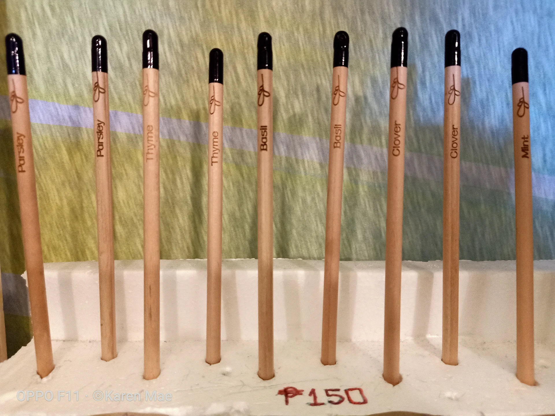Sprout Pencil  (Philippines)