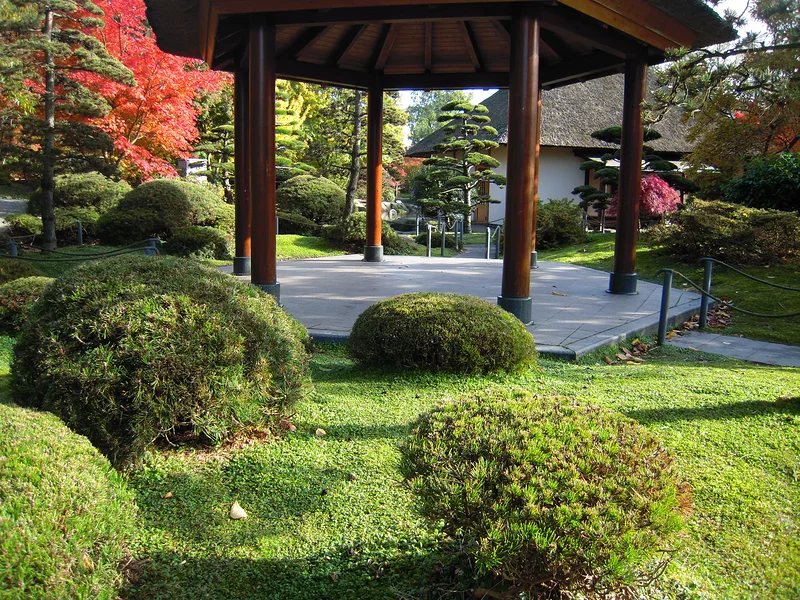 10 — Jardin japonais (Allemagne)