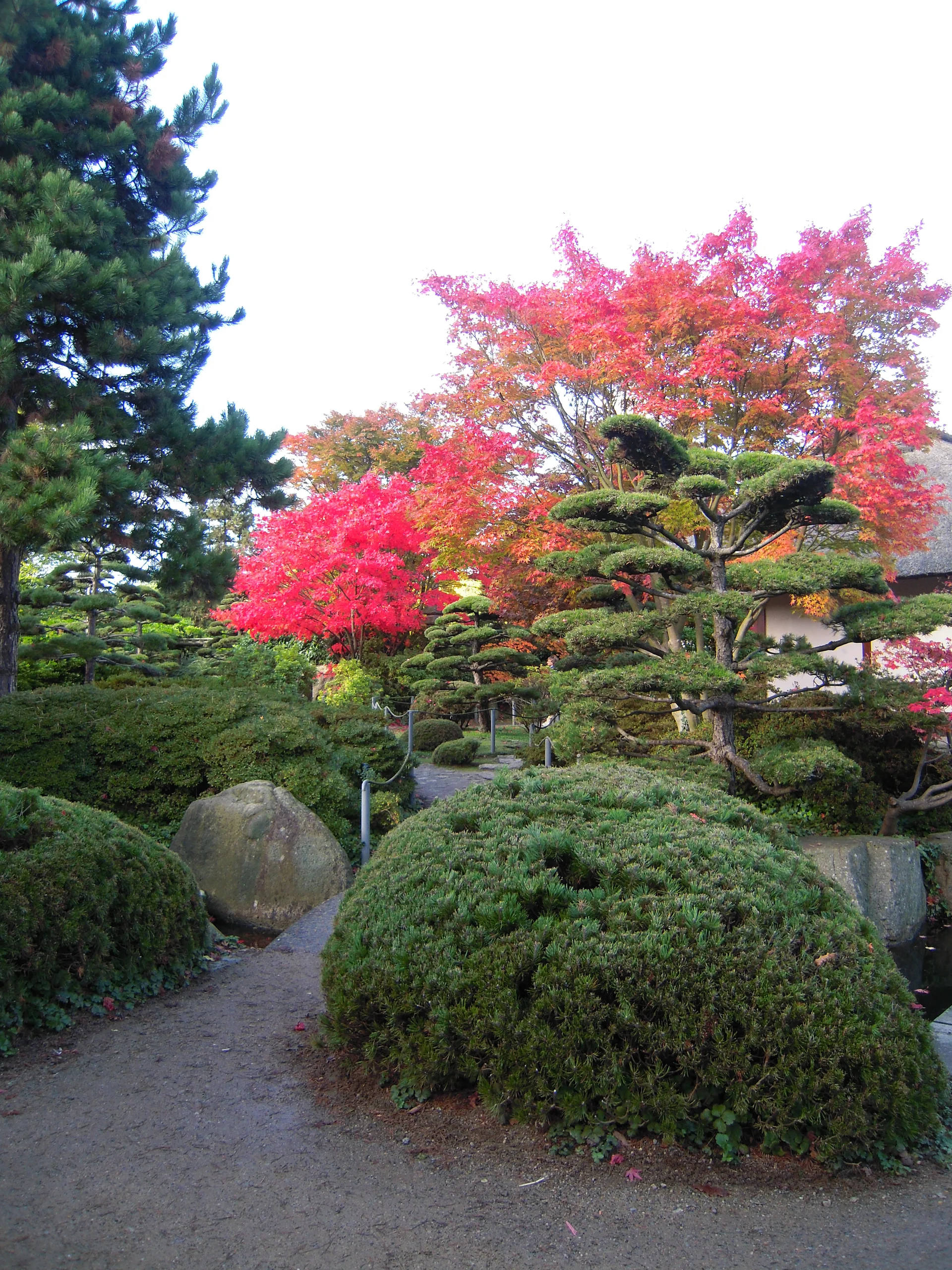 9 — Jardin japonais (Allemagne)