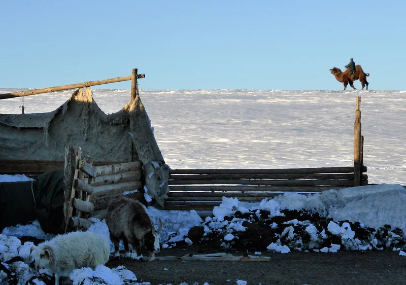 Du soleil pour la Mongolie