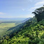 Cratère de Ngorongoro