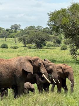 La famille en mouvement