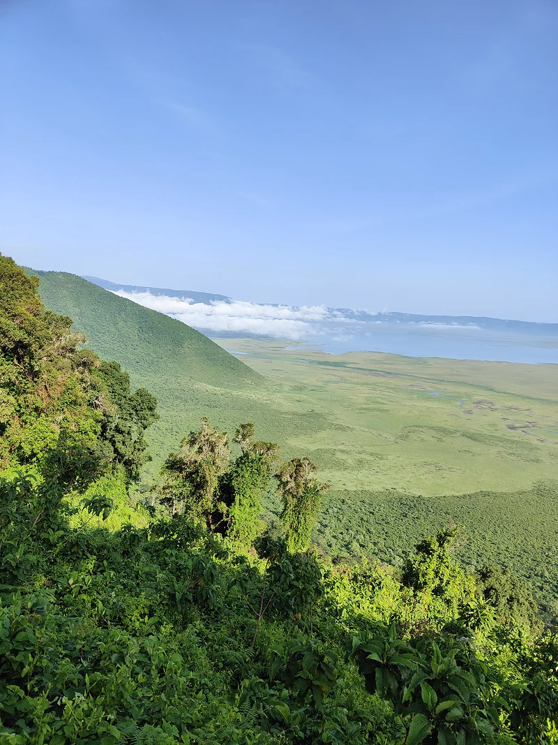 Point de vue sur le cratère — Cratère de Ngorongoro (Tanzanie)