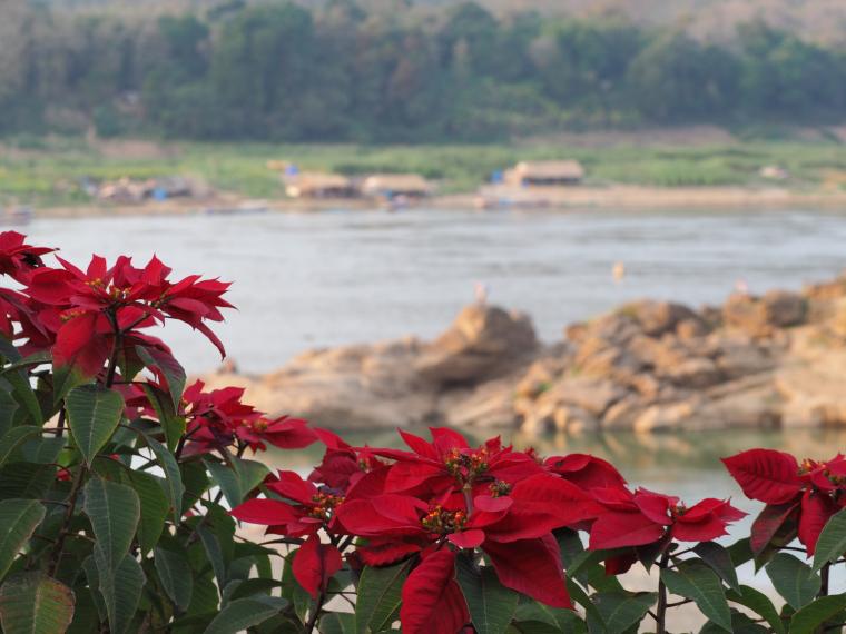 Du tourisme à l'occidental au tourisme laotien