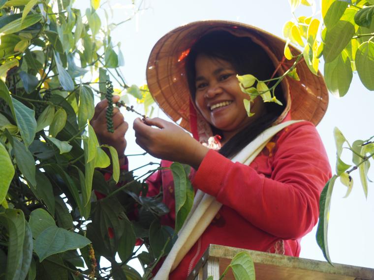 Bilan du Laos