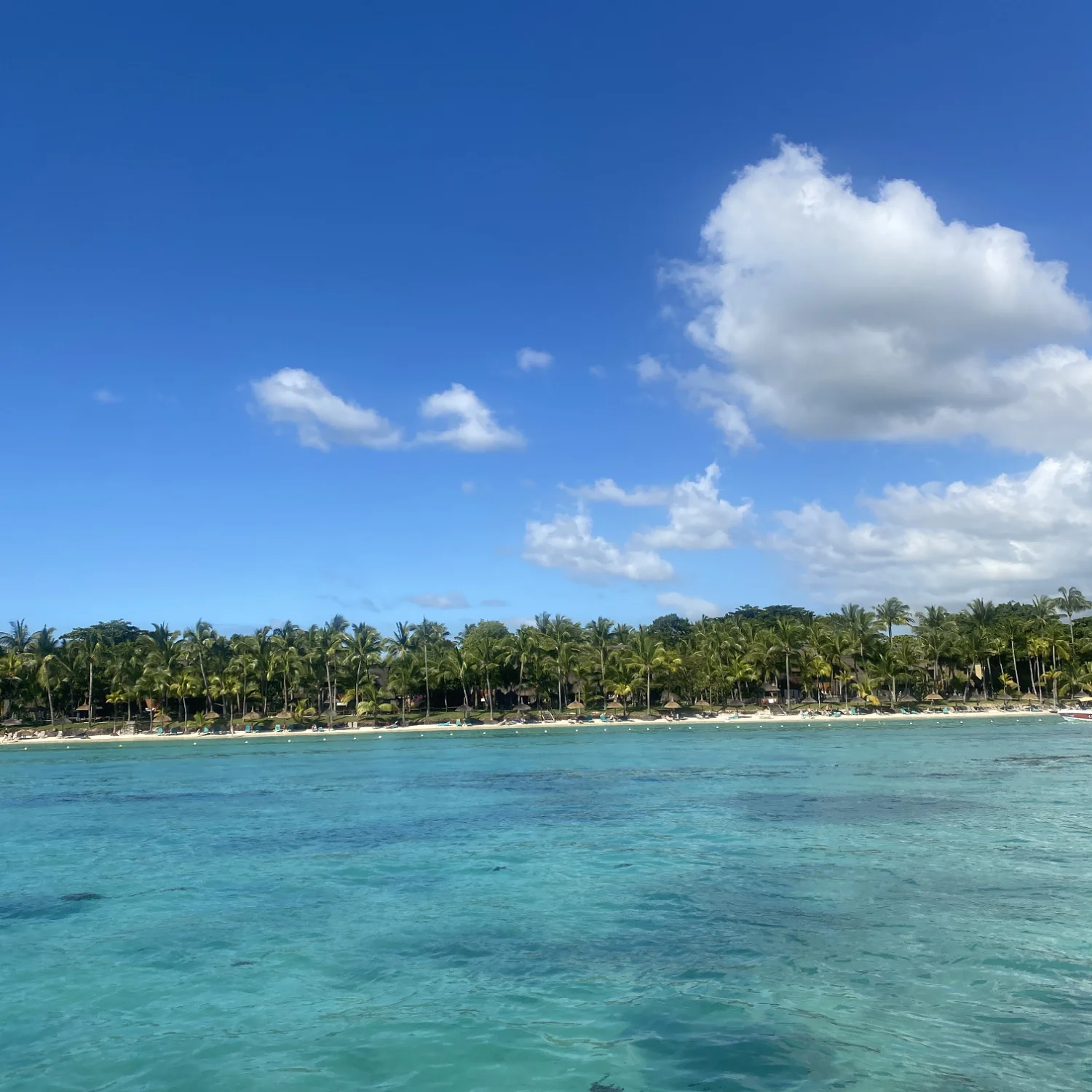 Le paradis 