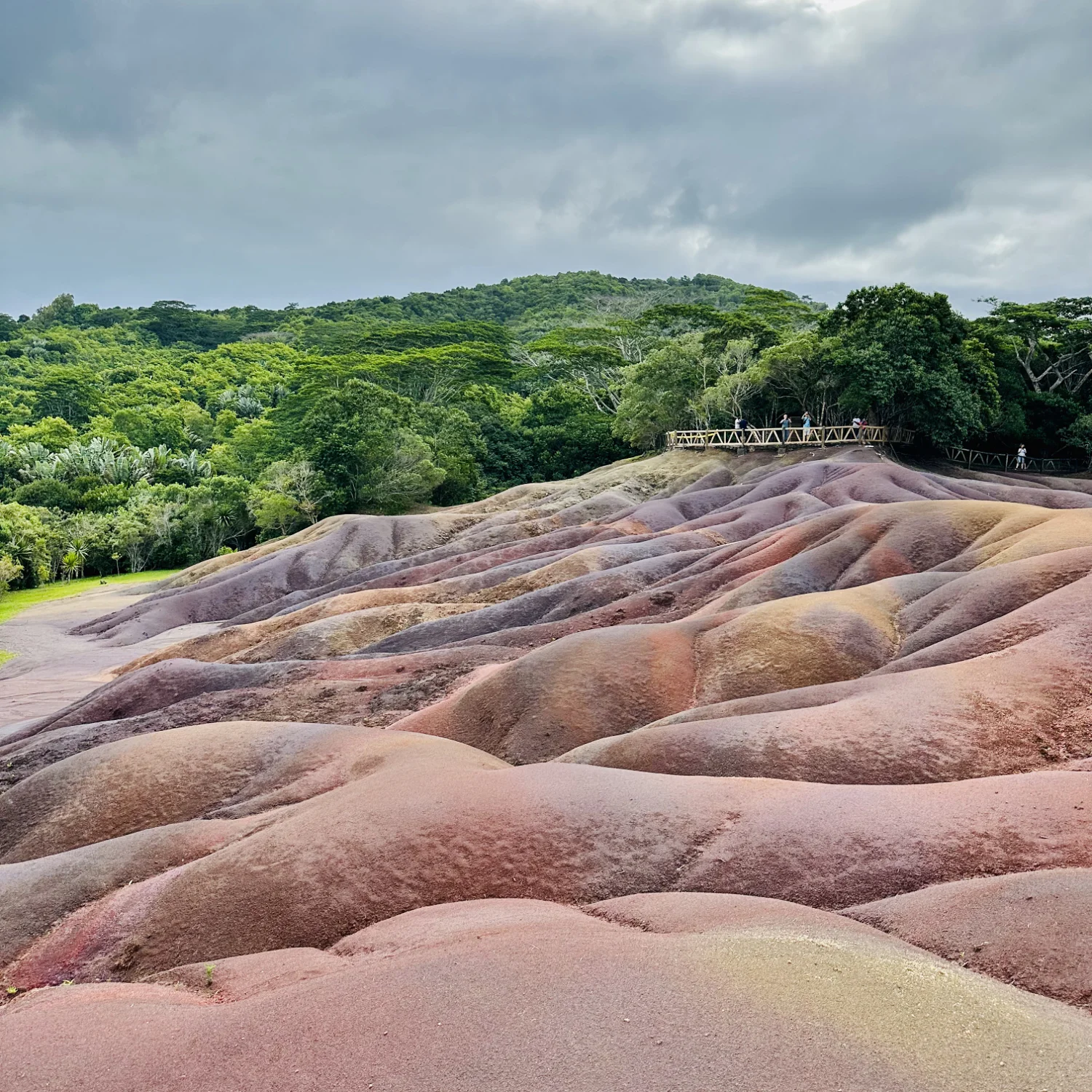 Terres des Sept Couleurs Terres des Sept Couleurs — Chamarel (Maurice)