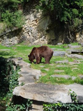 Domaine des grottes de Han