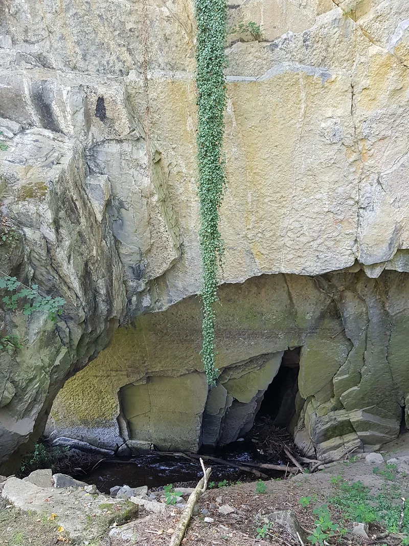 Domaine des grottes de Han — Grottes de Han (Belgique)