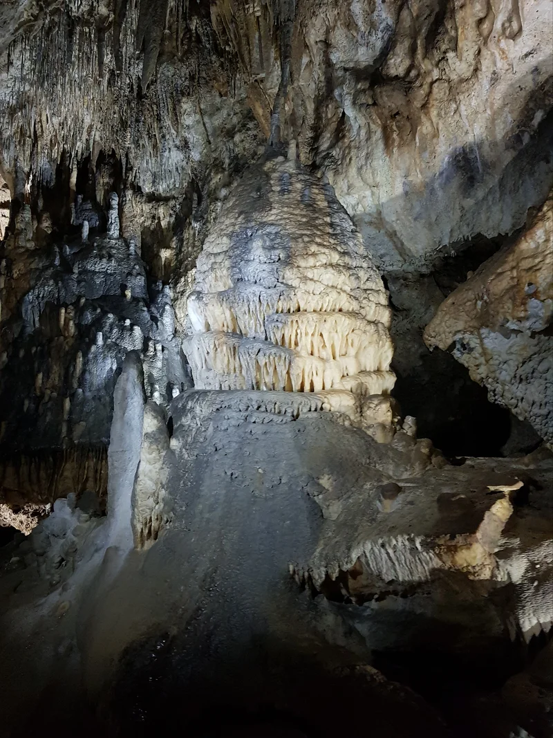 Domaine des grottes de Han — Grottes de Han (Belgique)
