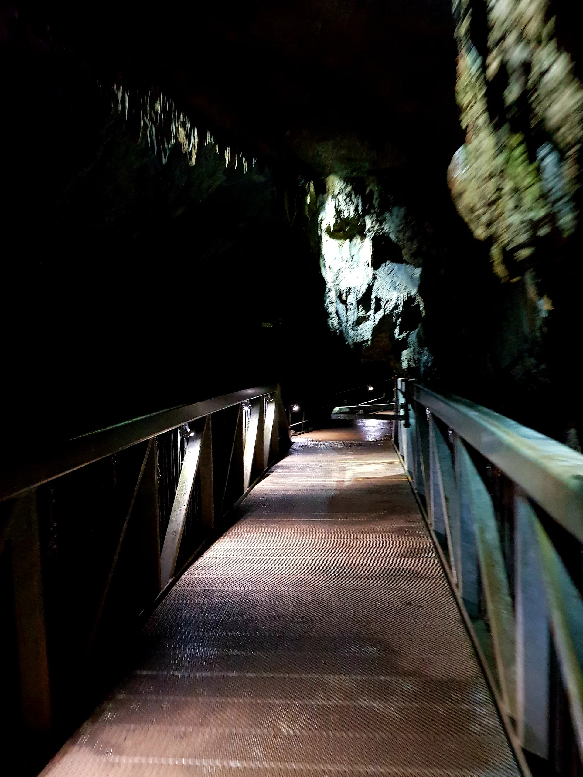 Domaine des grottes de Han Domaine des grottes de Han — Grottes de Han (Belgique)