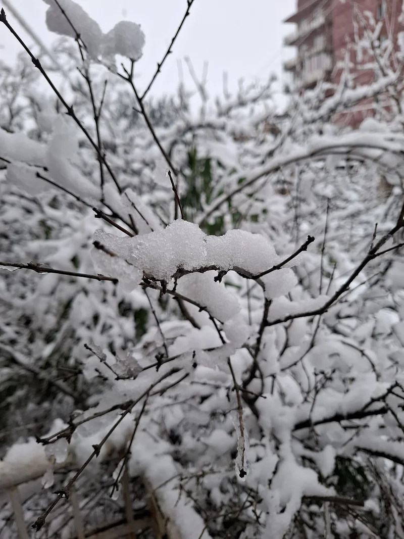 La neige à Samtredia  (Géorgie)