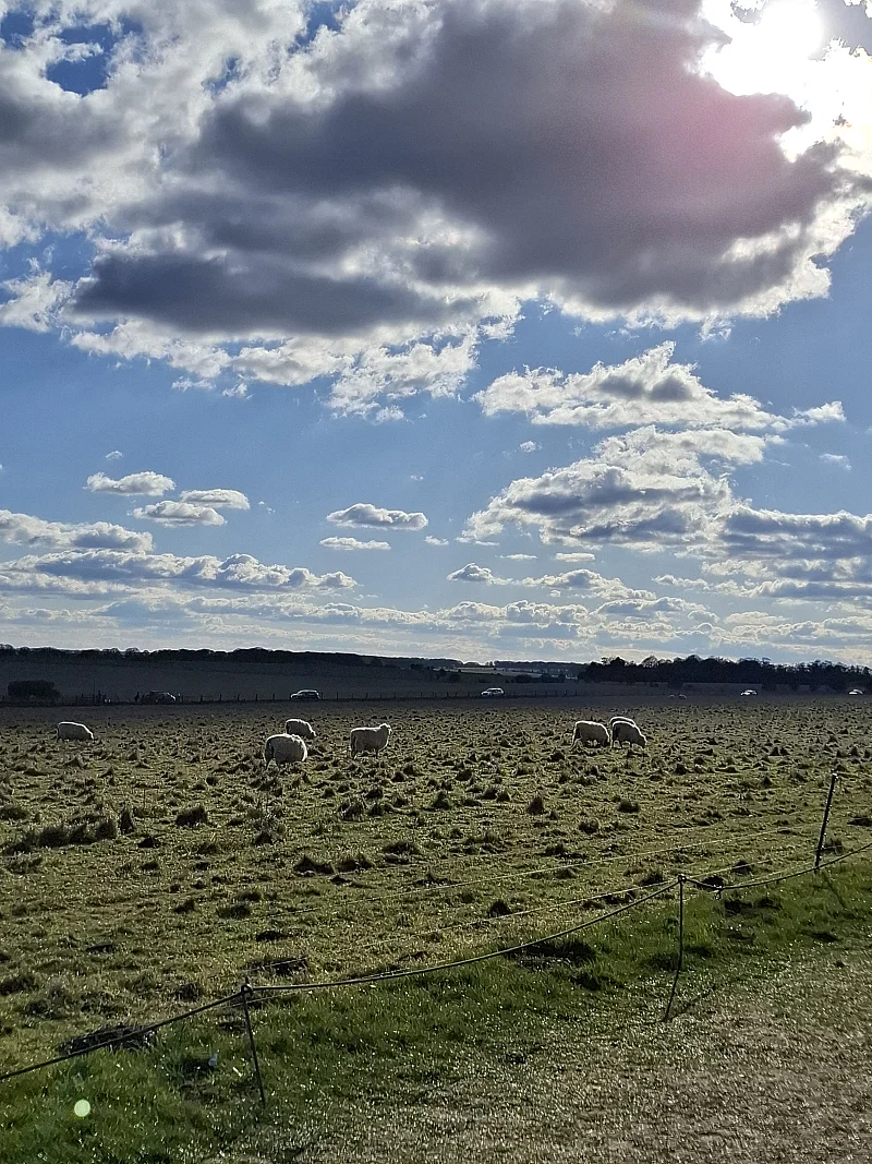 Petite vue de la campagne anglaise aux alentours  — Stonehenge (Royaume-Uni)