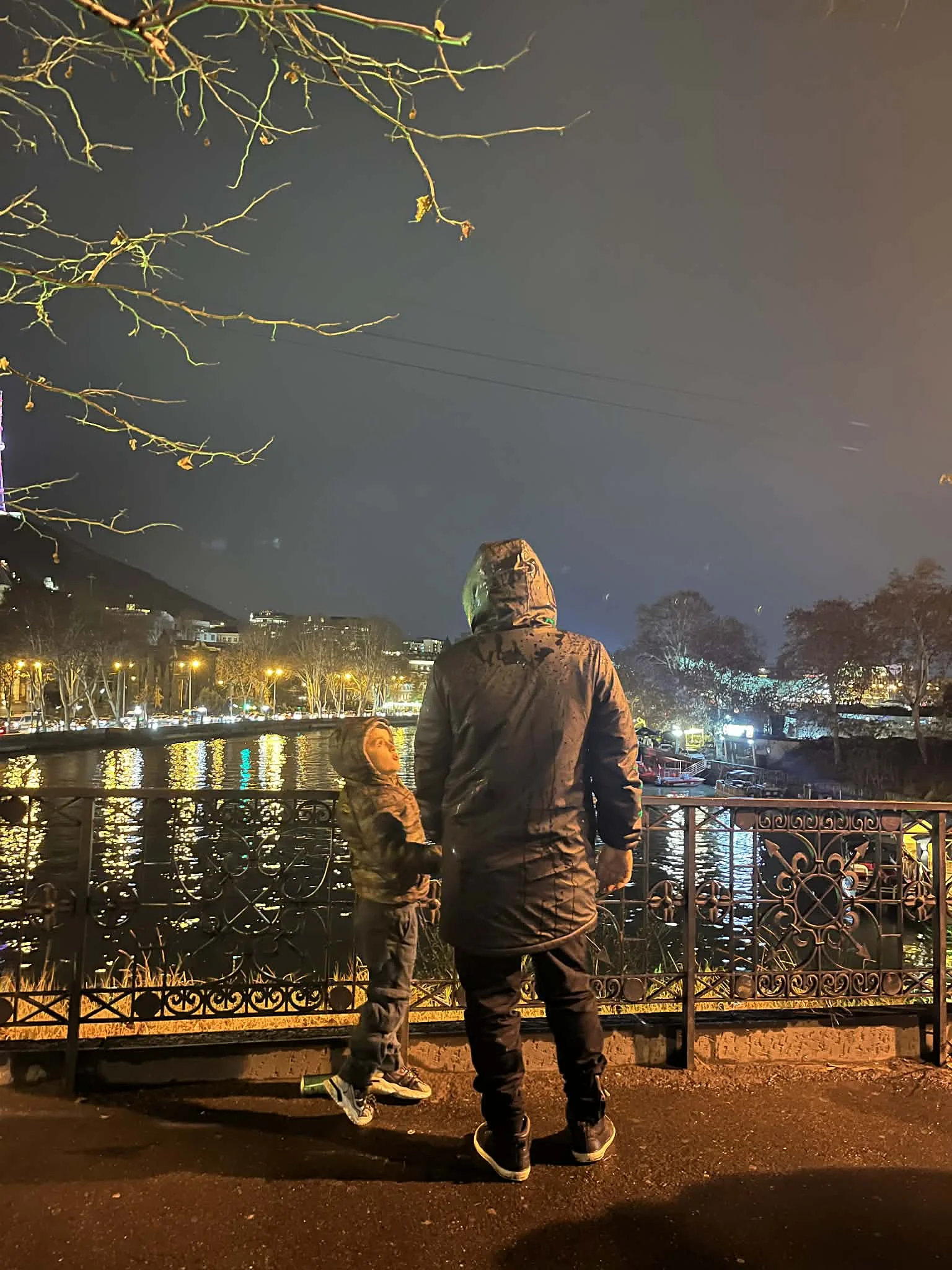 Tbilissi by night 