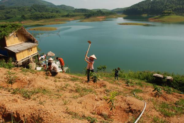 Agroforesterie au Vietnam