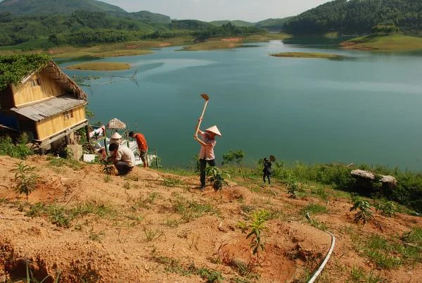 Agroforesterie sur les rives du lac Thac Ba