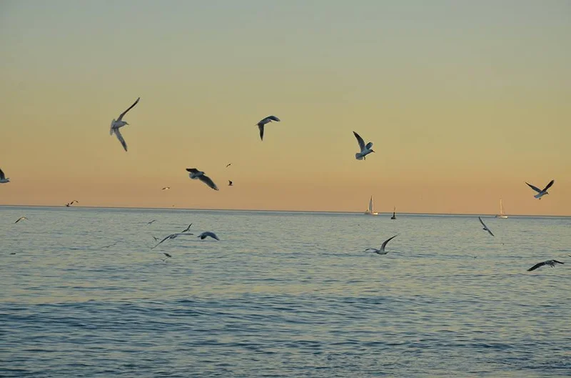 Coucher de soleil à Bercelone — Plage de la Barceloneta (Espagne)