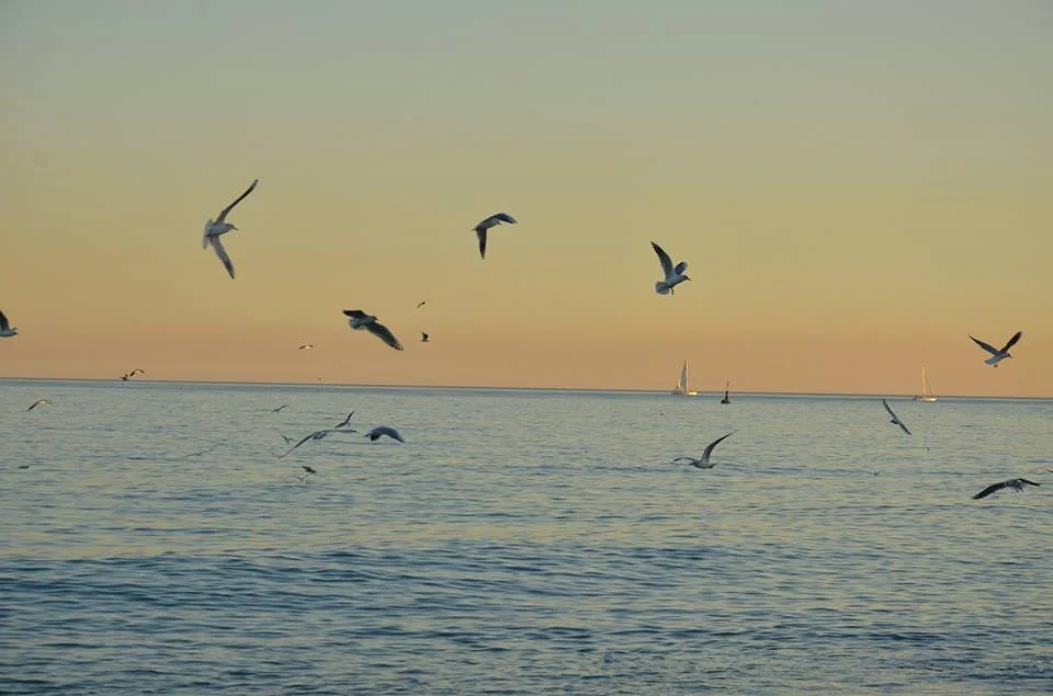 Coucher de soleil à Bercelone — Plage de la Barceloneta (Espagne)