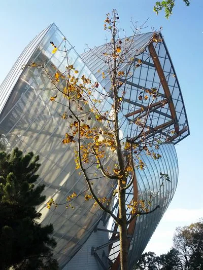 Jeux de lumière sur les voiles