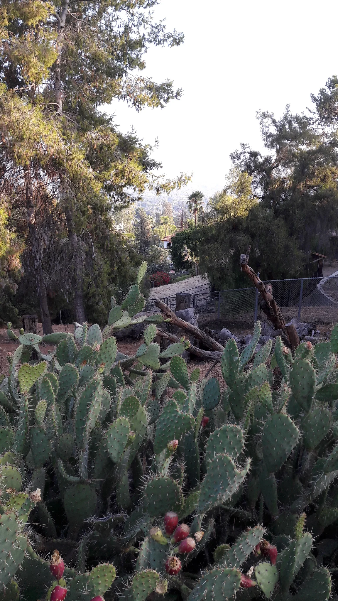 La Habra Heights La Habra Heights — La Habra (Etats-Unis)