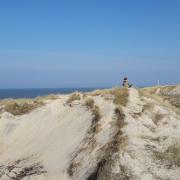 Jutland, entre mer et terre, du vent !