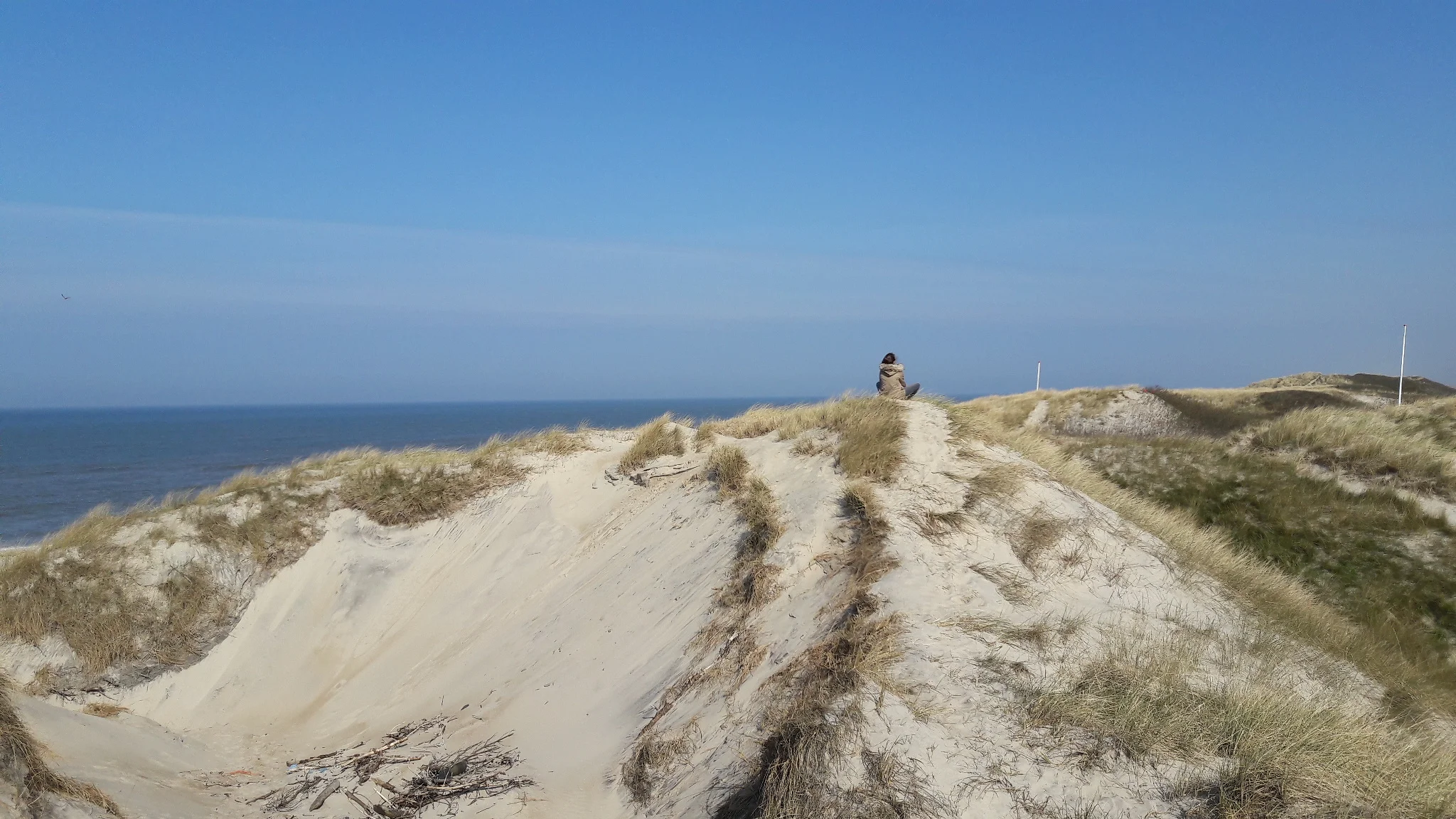 Jutland, entre mer et terre, du vent !