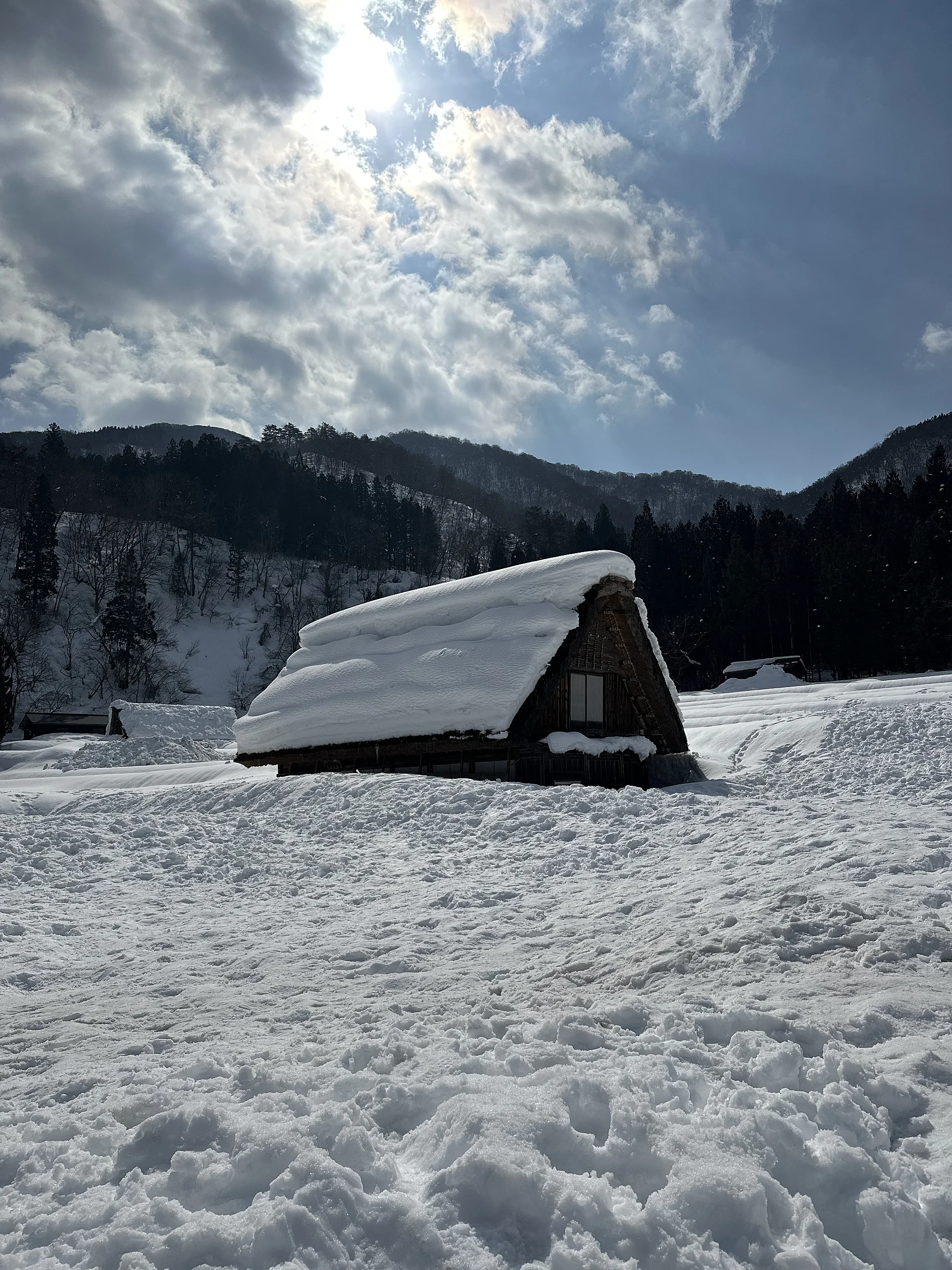 Photo postée par Megane Odyzea