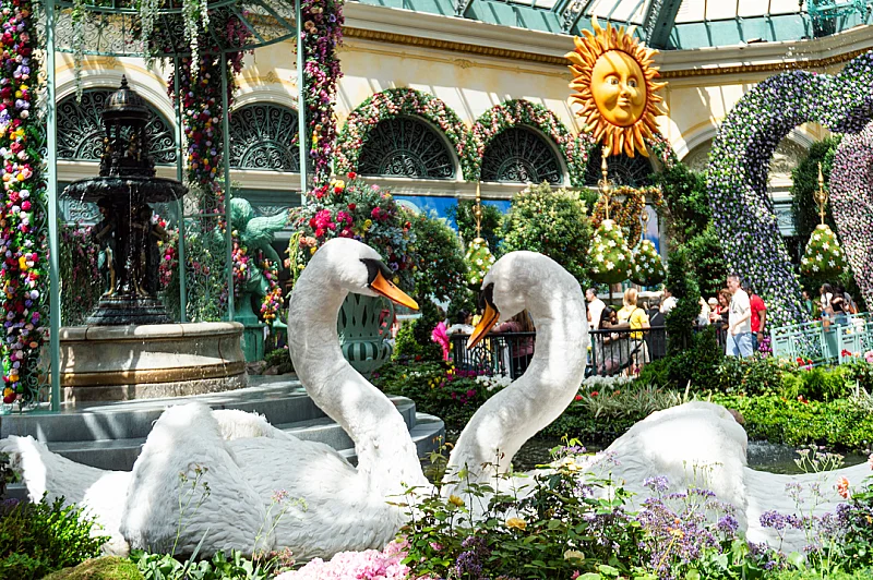 Bellagio Conservatory & Botanical Gardens