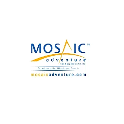 Logo Mosaic Adventure