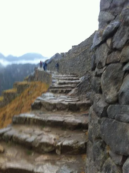 Un camino...