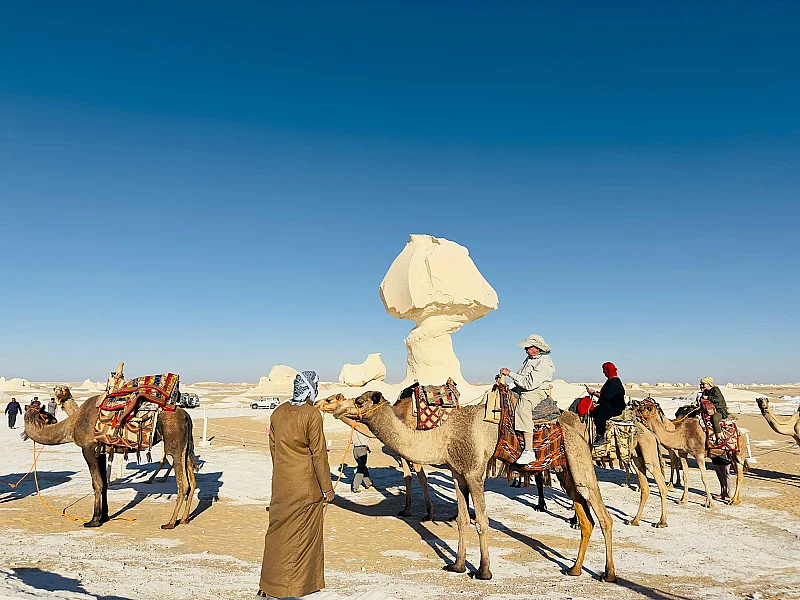 White Desert