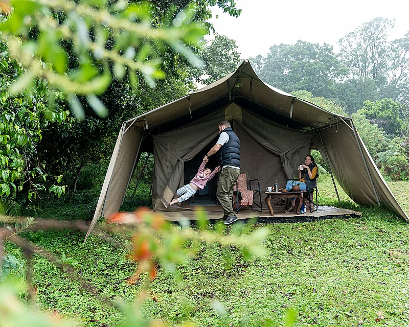 Family Tanzania Safari - private safari, your pace - from $8,000