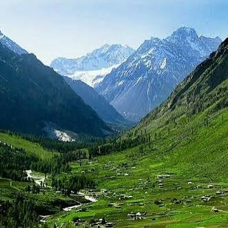 Yassar Mehmood