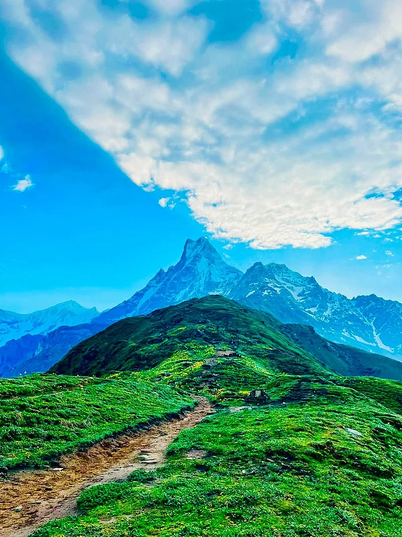 Mardi Himal View