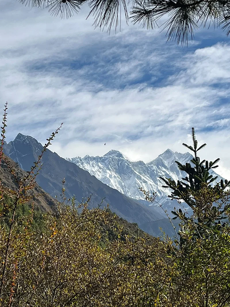 Everest view