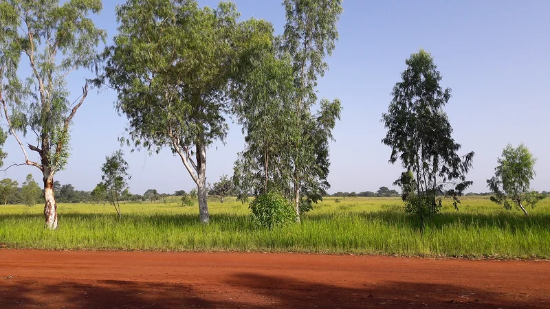 Zone d’Activités Électrifiée au Mali_copyright GERES