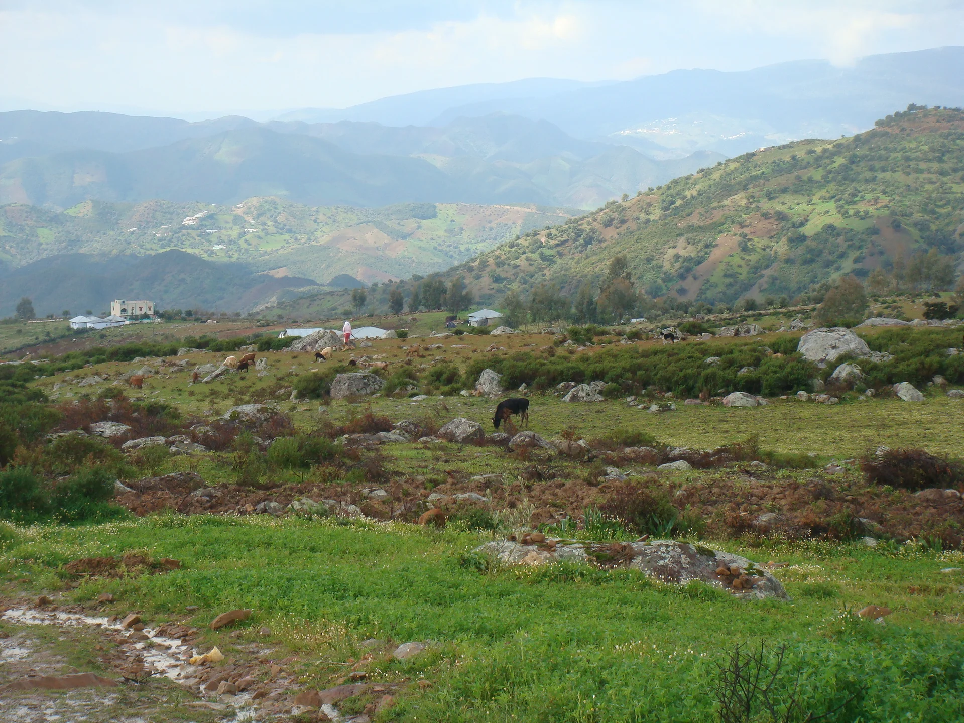 paysage autour de Chaouen — Chefchaouen (Maroc)