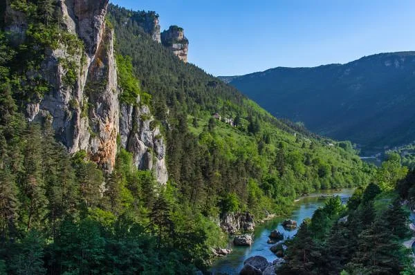 Les gorges — Gorges du Tarn (France)