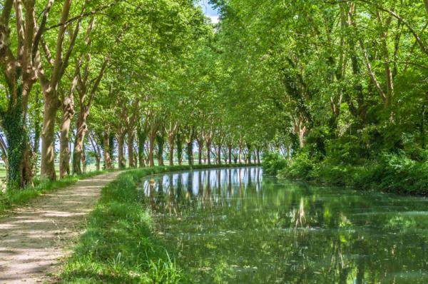 Vue du canal vers Agen