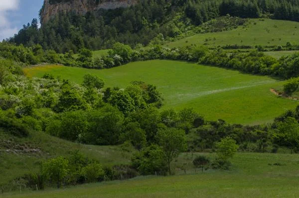 Alentours de Roquefort (France)