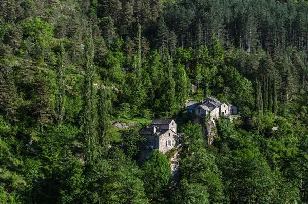 Paradis terrestre — Gorges du Tarn (France)