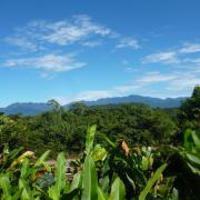 Communautés Kichwa aux alentours de Napo