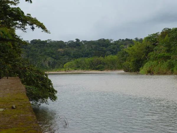 Le fleuve — Tena (Équateur)