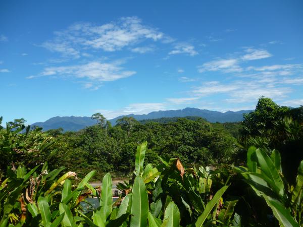Le Napo : entre jungle et montagnes