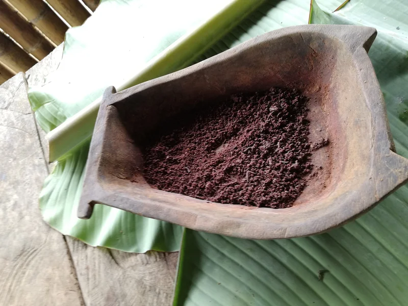 Cacao en poudre — Tena (Équateur)