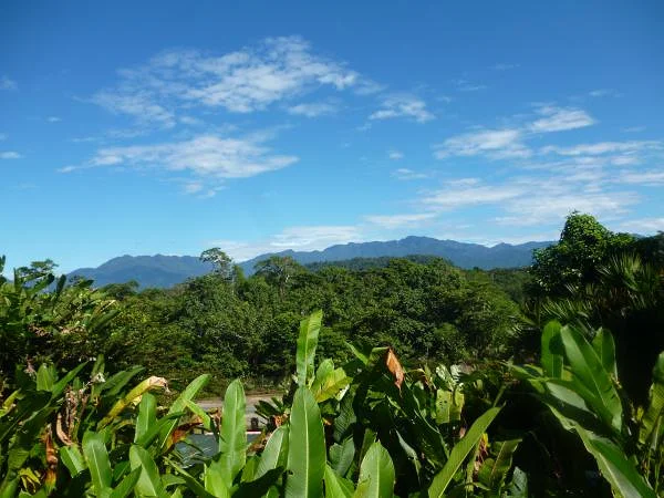 Le Napo : entre jungle et montagnes Le Napo : entre jungle et montagnes — Tena (Équateur)
