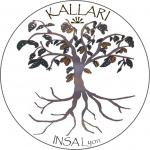 Projet Kallari INSA