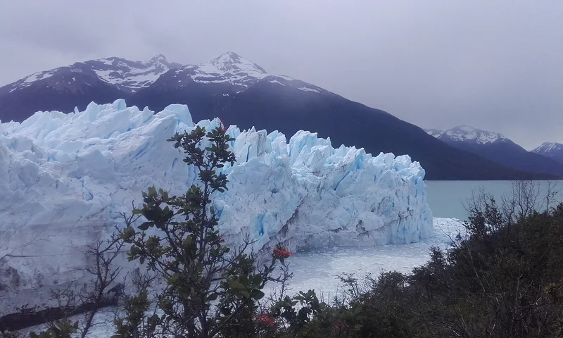 Perrito moreno — El Calafate (Argentine)