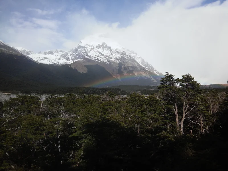 Dans le parc (Argentine)